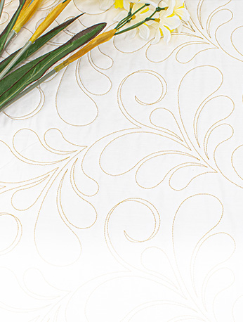 Edge to Edge Highlights