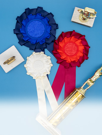 in the hoop award ribbons